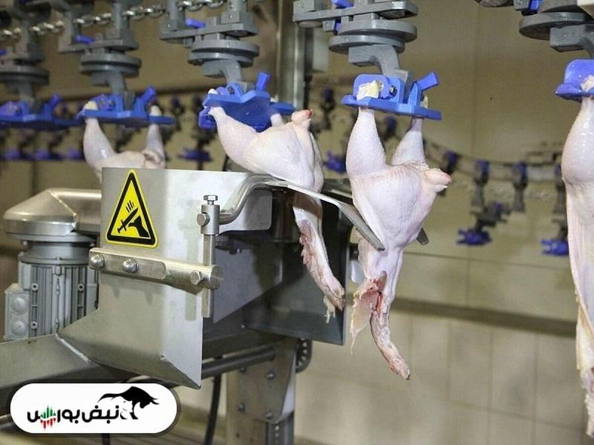 تحلیل دو پروژه کلیدی توسعه‌ای در حال اجرای...