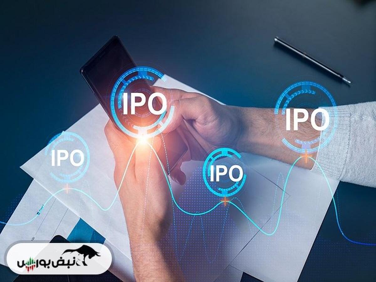 در عرضه اولیه نان به هر کد چند سهم رسید؟