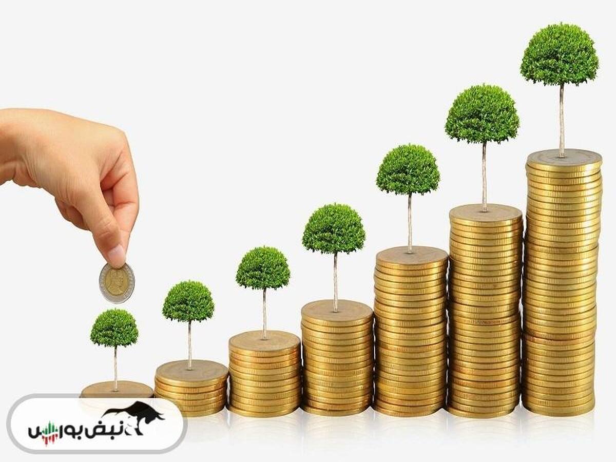سیلام پیشنهاد افزایش سرمایه داد