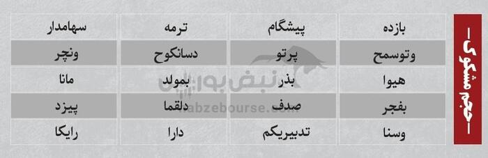 بهترین سهام بورسی یکشنبه ۱۸ خرداد ۱۴۰۴ | کدام نماد‌ها ورود پول داشتند؟