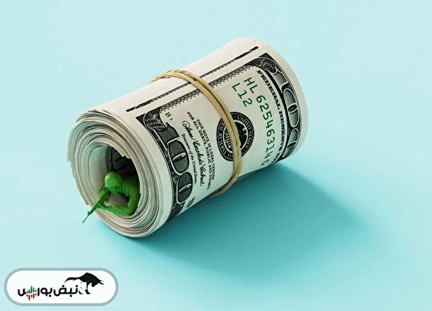 قیمت دلار امروز دوشنبه ۱۹ خرداد ۱۴۰۴ | چرا دلار تکان نمی‌خورد؟