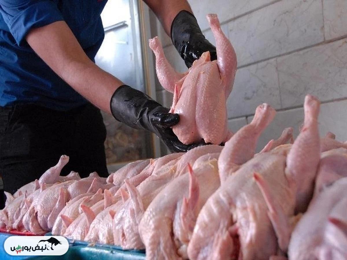 قیمت گوشت مرغ، امروز ۲۰ خرداد ۱۴۰۴