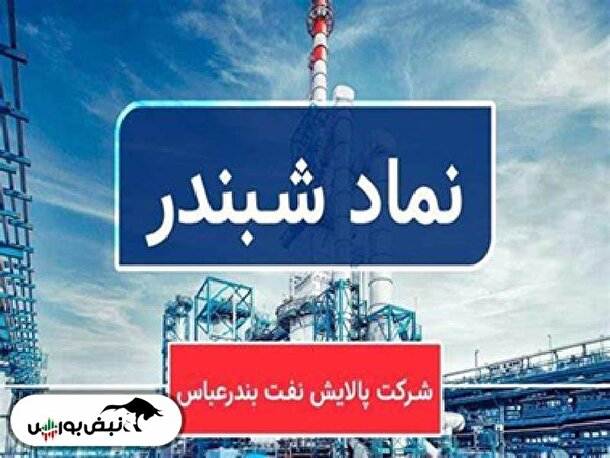 کارنامه مردودی احمد هاشمی در شبندر | معیار‌های سودآوری سقوط کرد