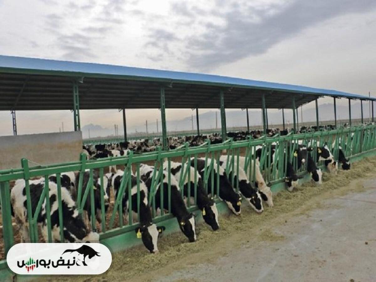 رشد ۲۸ درصدی فروش در فروردین ماه این نماد