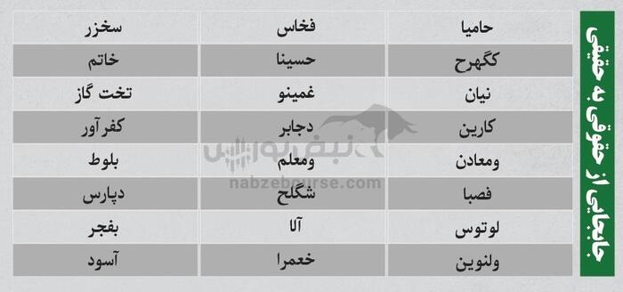 بهترین سهام بورسی یکشنبه ۵ خرداد ۱۴۰۴ | کدام نماد‌ها ورود پول داشتند؟