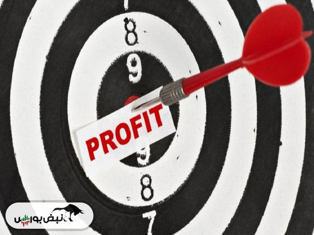 سود مجامع زیر ذره بین نبض بورس | نبض بورس پیشتاز در پیش بینی سود