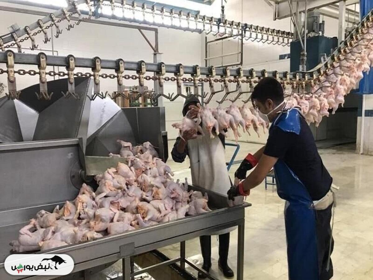 قیمت گوشت مرغ، امروز ۱۱ تیر ۱۴۰۴
