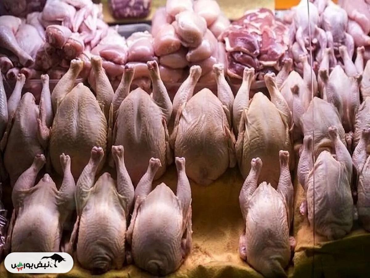 قیمت گوشت مرغ، امروز ۱۲ تیر ۱۴۰۴