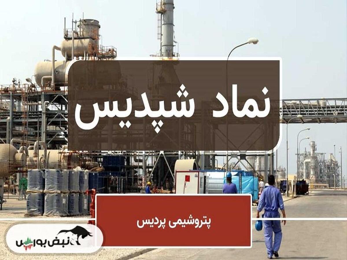 شپدیس به ازای هر سهم چقدر سود داد؟