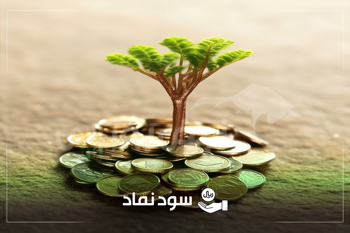 واریز ۱۹ هزار میلیارد تومان سود به حساب سهامداران | سود کدام نمادها واریز شد؟