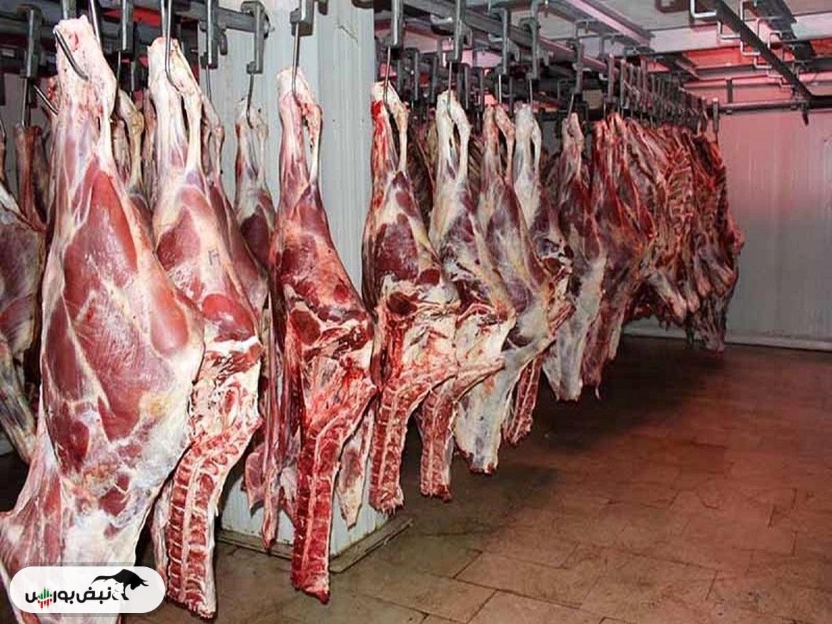 قیمت گوشت داخلی ۳ برابر گوشت وارداتی