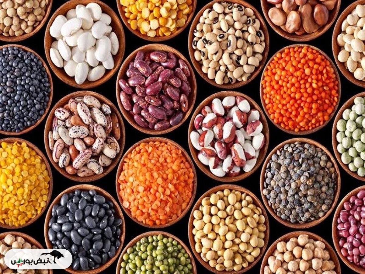 توزیع حبوبات به قیمت دولتی آغاز می شود