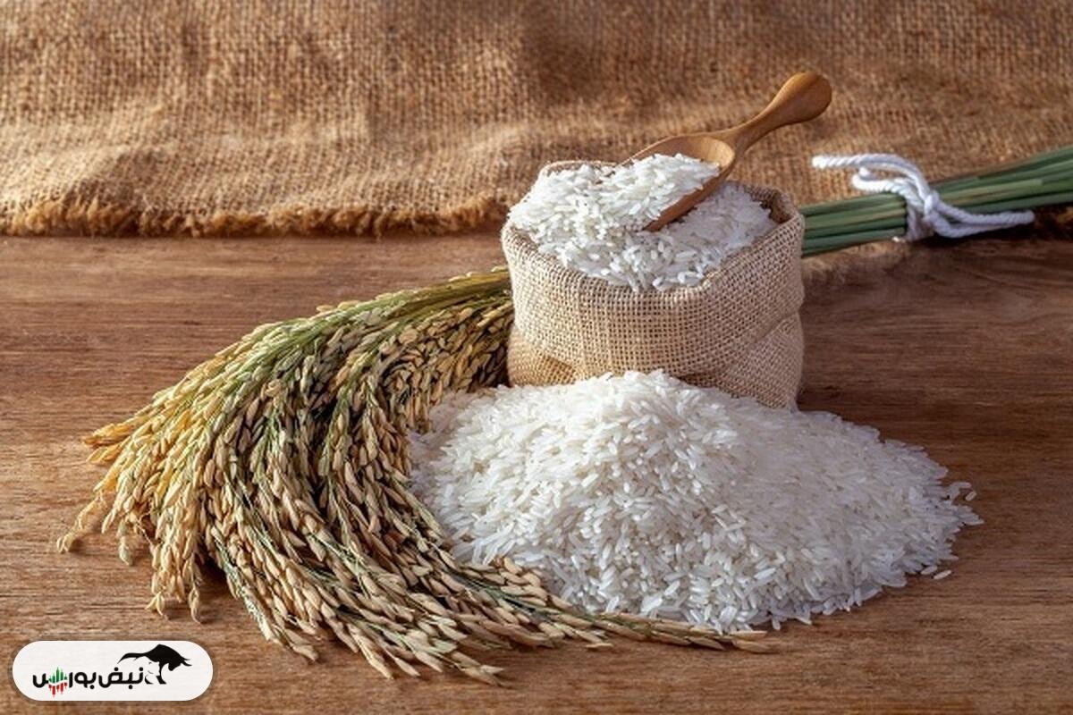 قیمت برنج ایرانی مرداد ۱۴۰۴