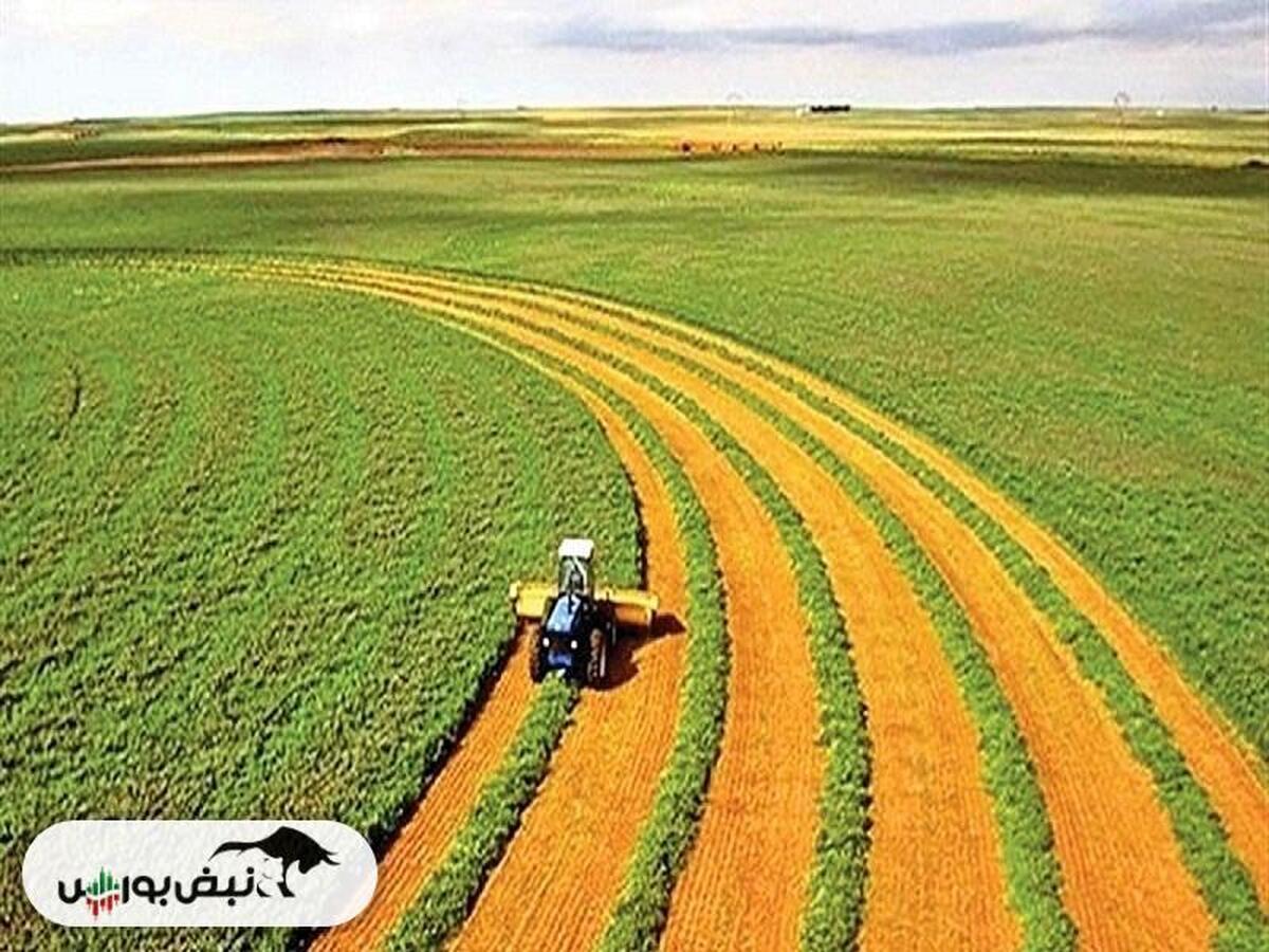 زیان سنگین زکوثر در سه ماهه نخست سال
