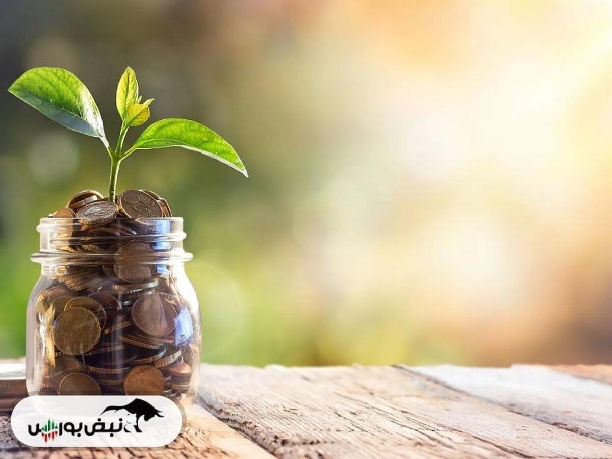 تنوع‌بخشی به صندوق‌های کالایی و فرصت‌های جدید سرمایه‌گذاری در بازار سرمایه