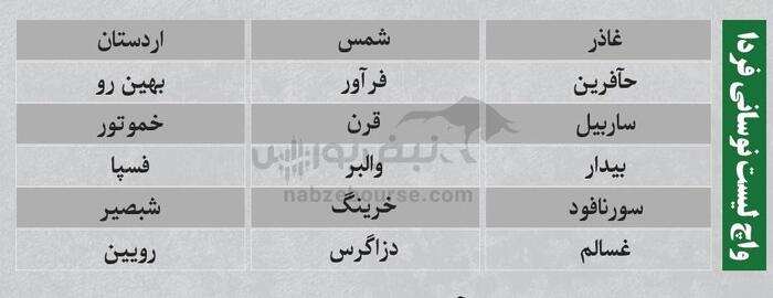 ترین‌های بورس شنبه ۲۵ مرداد ۱۴۰۴ | نگاهی به پرمعامله‌ترین و نوسانی‌ترین نماد‌های بورس امروز