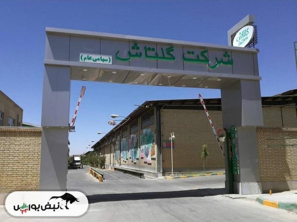 رشد فروش شگل در خرداد ماه