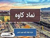 پروژه ۱۱۰ میلیون دلاری فولاد کاوه قفل شد؛ خطر افت سودآوری در کمین سهامداران