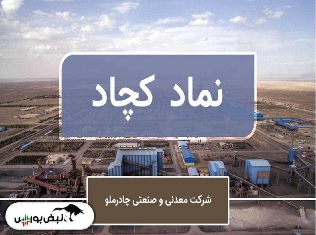 رشد سود و تثبیت جایگاه در کچاد با مدیریت جدید