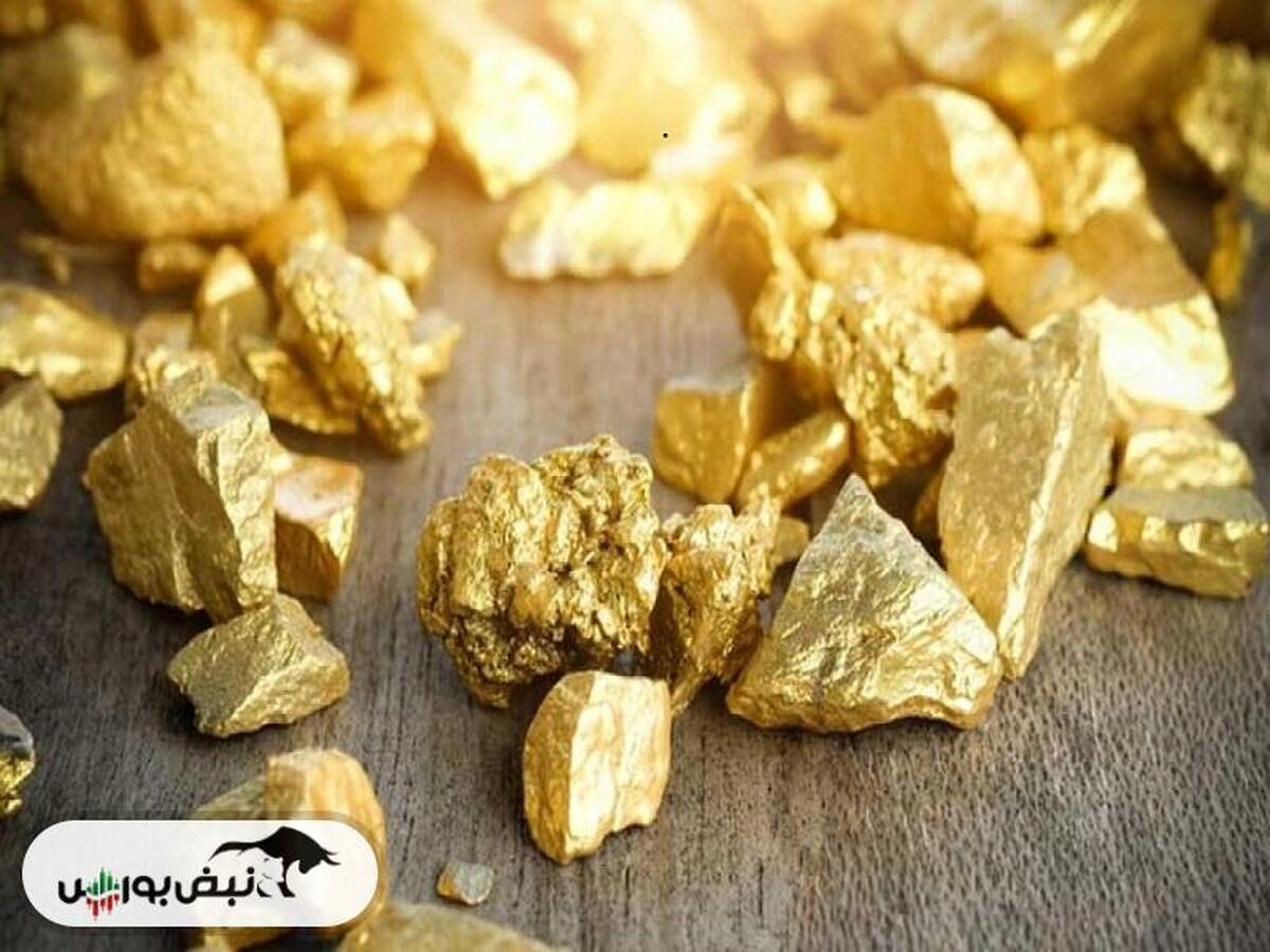 فزر برای سرمایه گذاری مناسب است؟