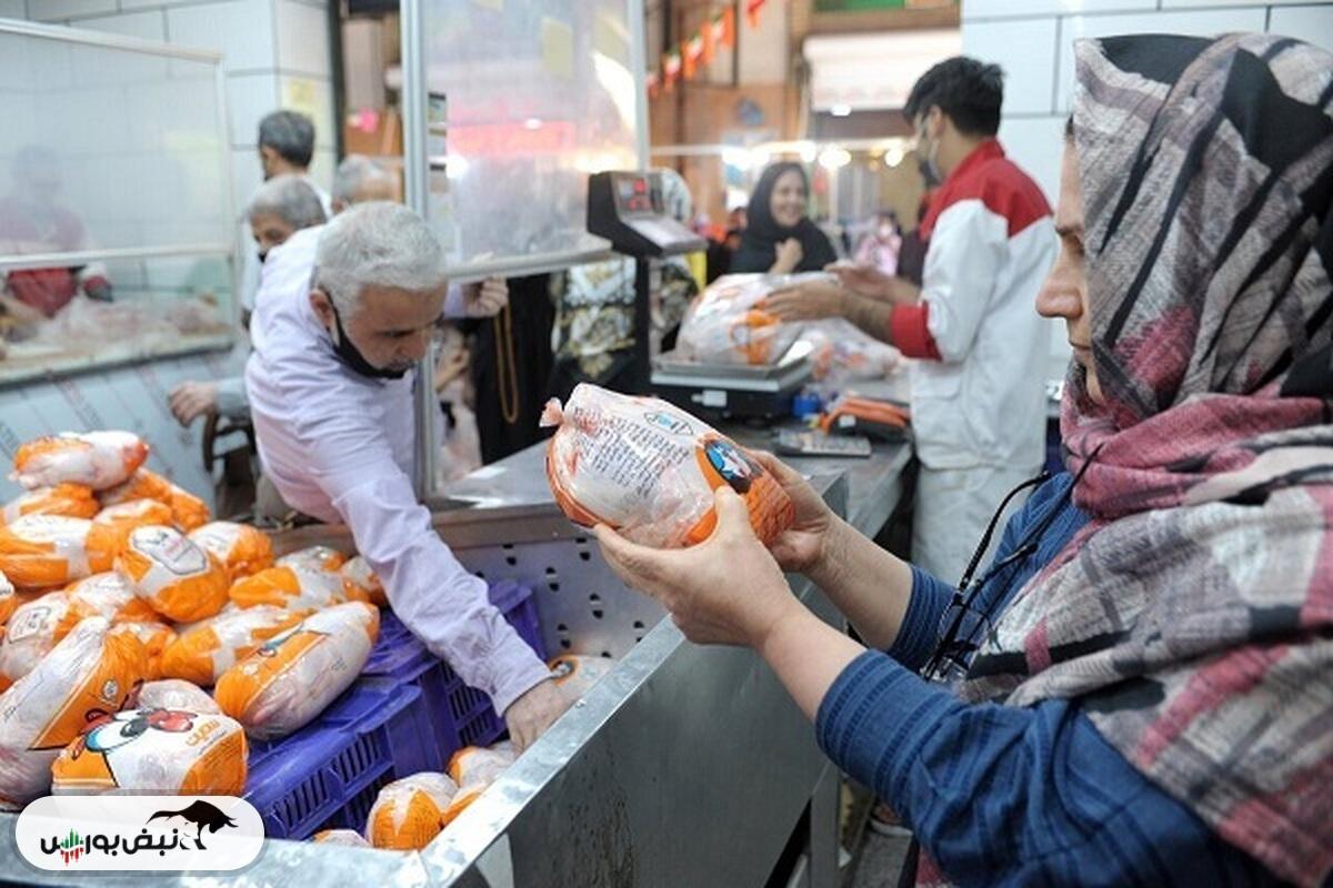 سقوط قیمت مرغ آغاز شد