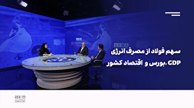 ویدئو/ چالشهای صنعت فولاد در میزگرد سنا بررسی شد
