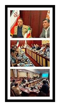 تاکید مدیرعامل شرکت ملی مس بر پایداری تولید و تسریع در اجرای پروژه‌های توسعه‌ای