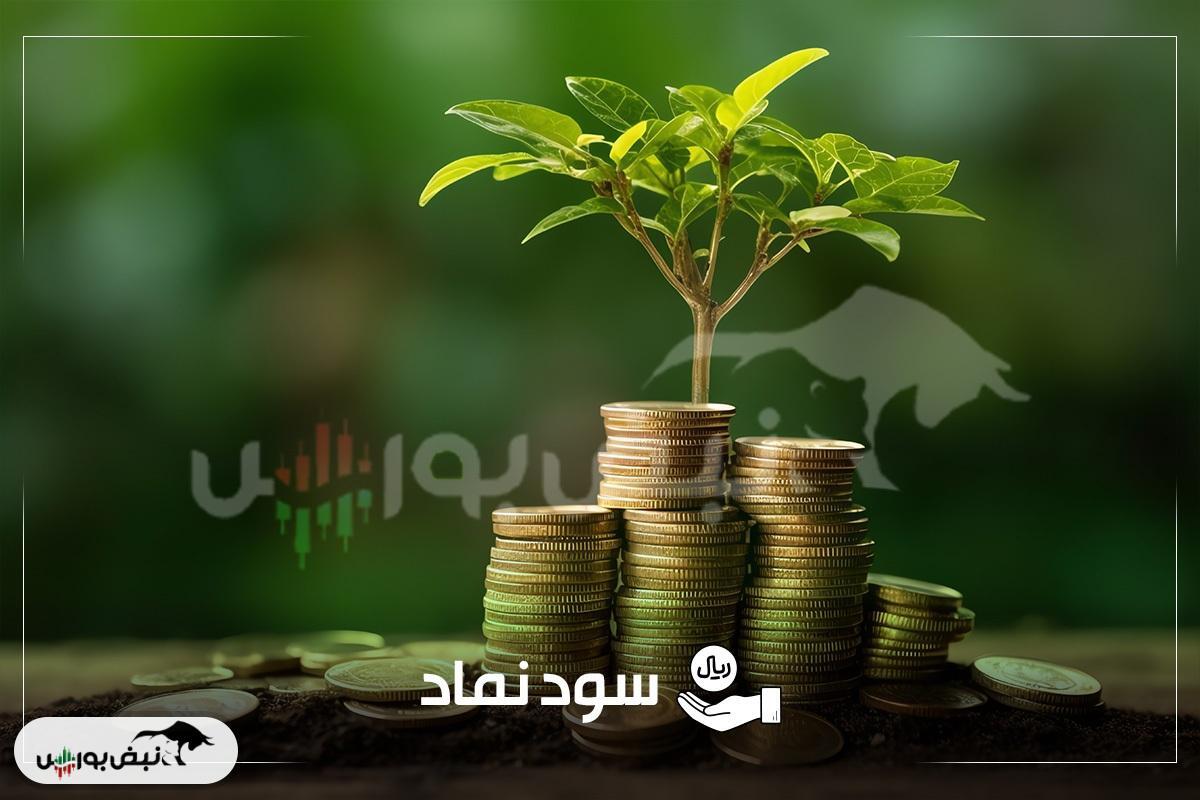 زمان پرداخت سود سهامی که هفته گذشته مجمع داشتند |جزئیات پرداخت سود حریل، شپدیس، تیپیکو و دیگر نمادها
