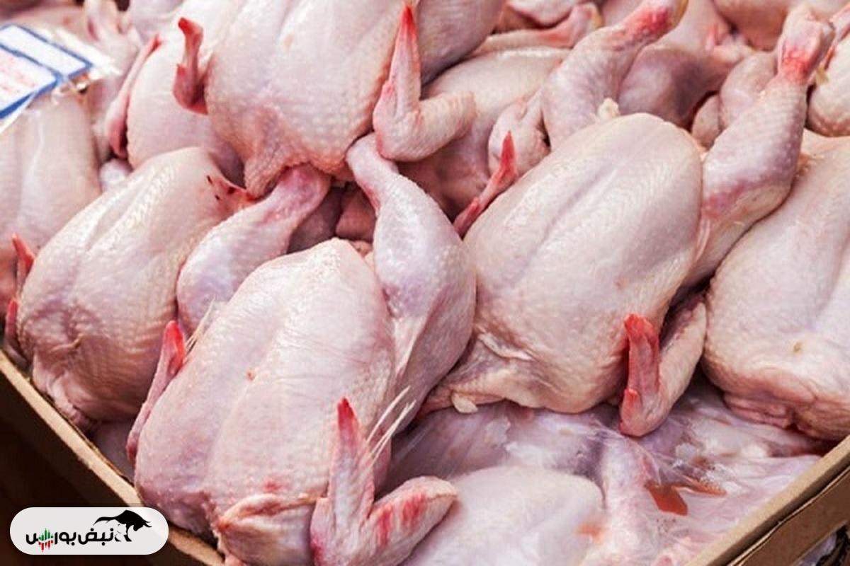 قیمت مرغ امروز ۱ مهر ۱۴۰۴