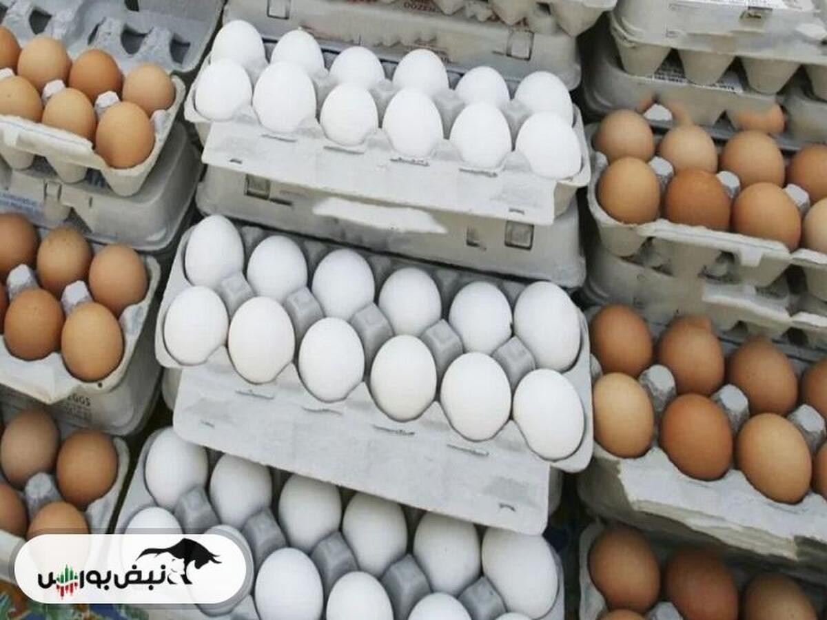 تخم مرغ گران نمیشود اگر...راه حل مسئولین چیست؟