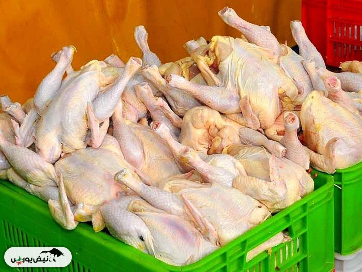 قیمت مرغ امروز ۱۵ مهر ۱۴۰۴