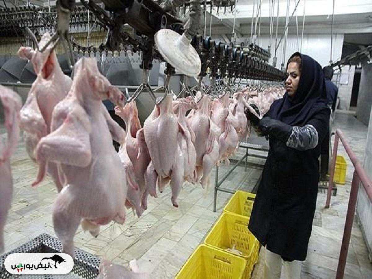 قیمت مرغ امروز ۲۱ مهر ۱۴۰۴