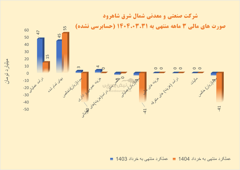 کارنامه مردودی در شرکت صنعتی و معدنی شمالشرق: شرکت از سود به زیان رسید