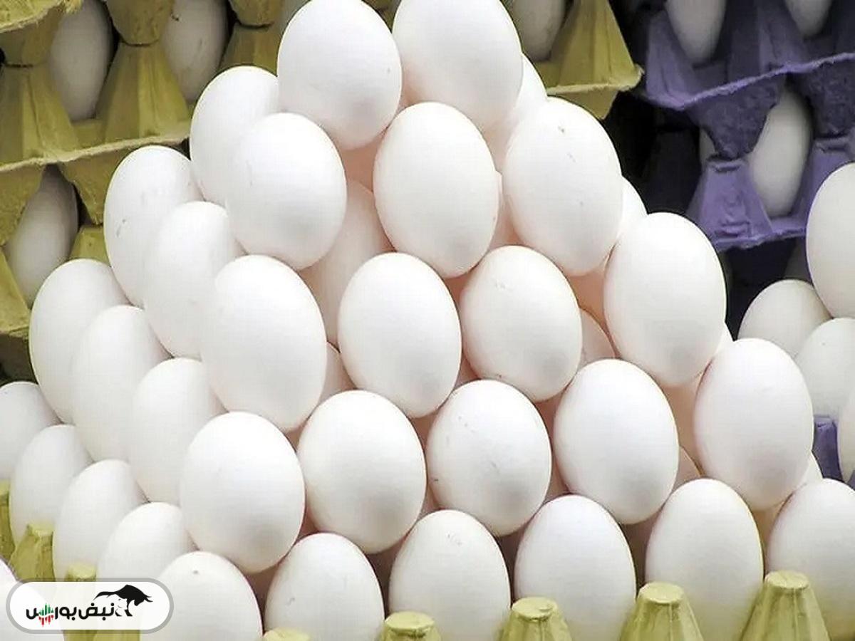 قیمت جدید تخم مرغ پنجشنبه ۲۴ مهر ۱۴۰۴