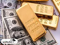 هشدار کارشناسان درباره اصلاح انس