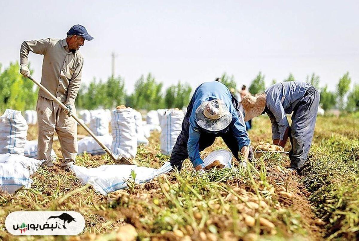 رشد ۵.۶ درصدی بخش کشاورزی در یک سال گذشته