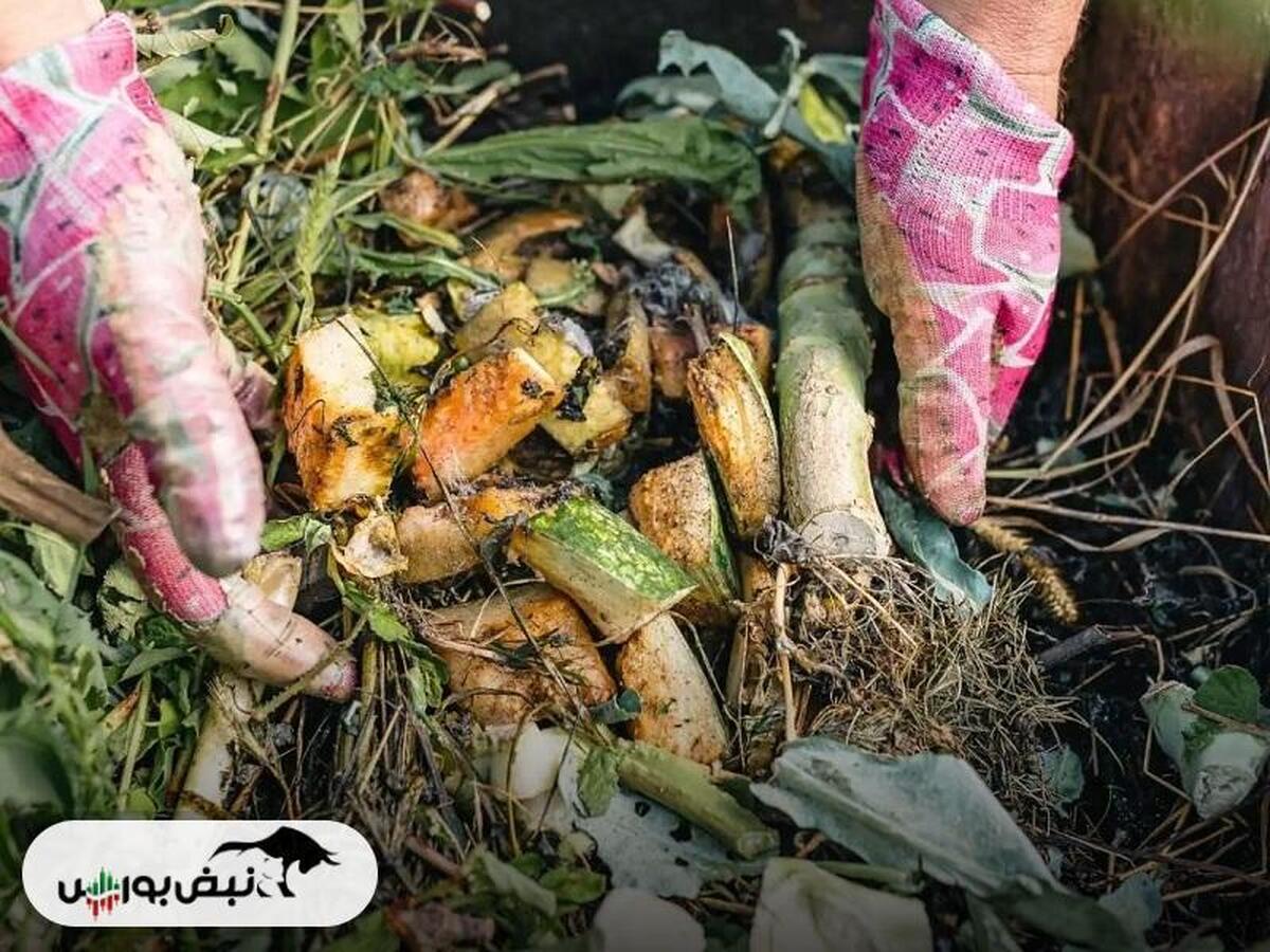 ضایعات بخش کشاورزی به کمتر از ۱۵ درصد کاهش یافت