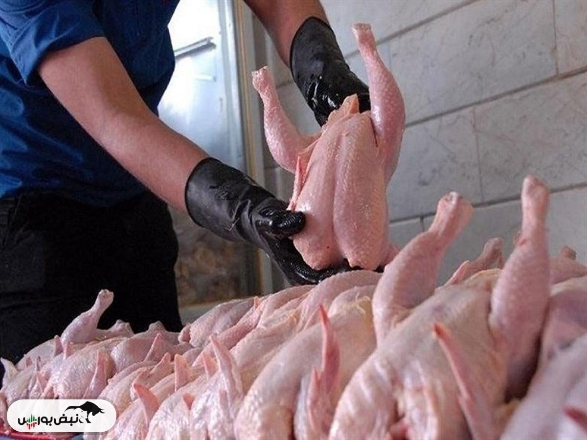 علت کاهش قیمت مرغ در بازار چه بود؟
