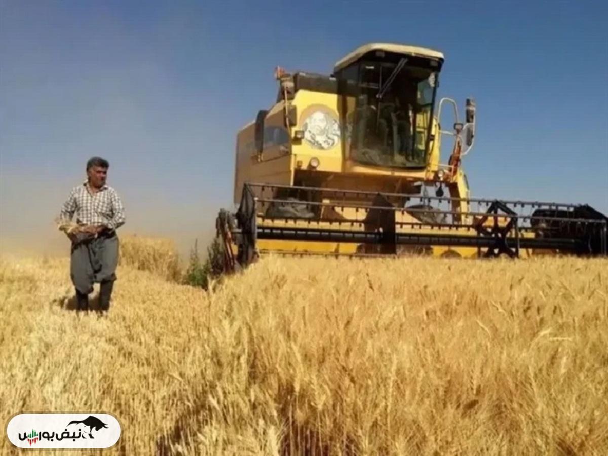 قیمت گندم جهانی پنجشنبه ۱ آبان ۱۴۰۴