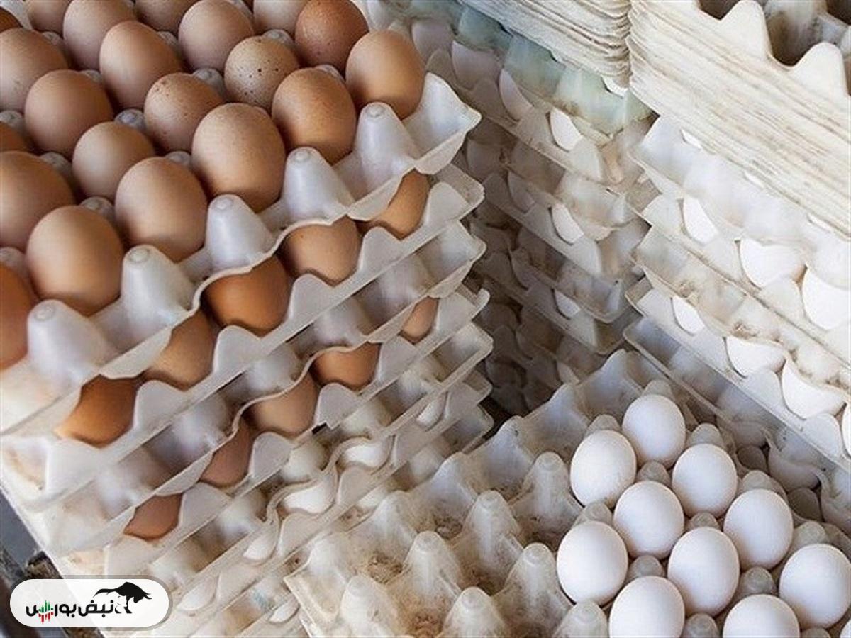 قیمت منطقی هر شانه تخم مرغ فله برای مصرف کننده ۱۸۰ تا ۲۰۰ هزار تومان