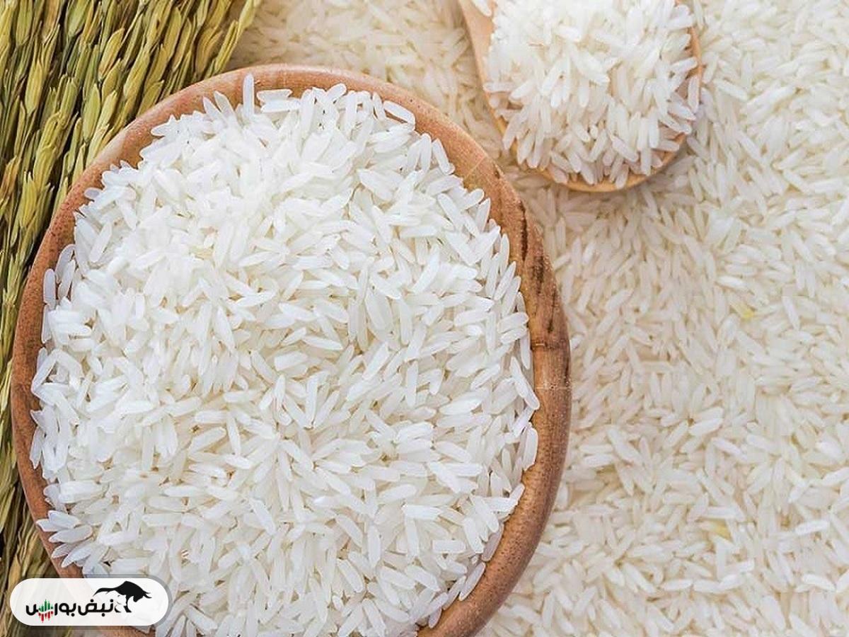 برنج ارزان شد