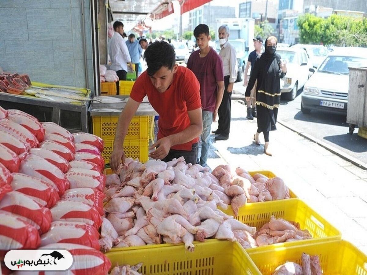 در بازار مرغ چه خبر است؟