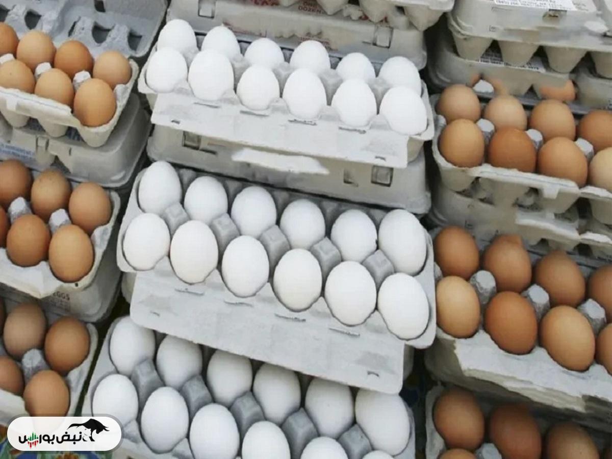 قیمت هرشانه تخم مرغ فله به ۲۵۰ هزارتومان رسید