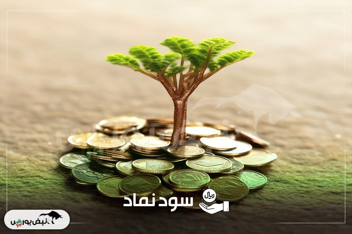 واریز سود ۱۸ شرکت بورسی در هفته اول آبان | پرداخت سود میلیونی برخی نمادها