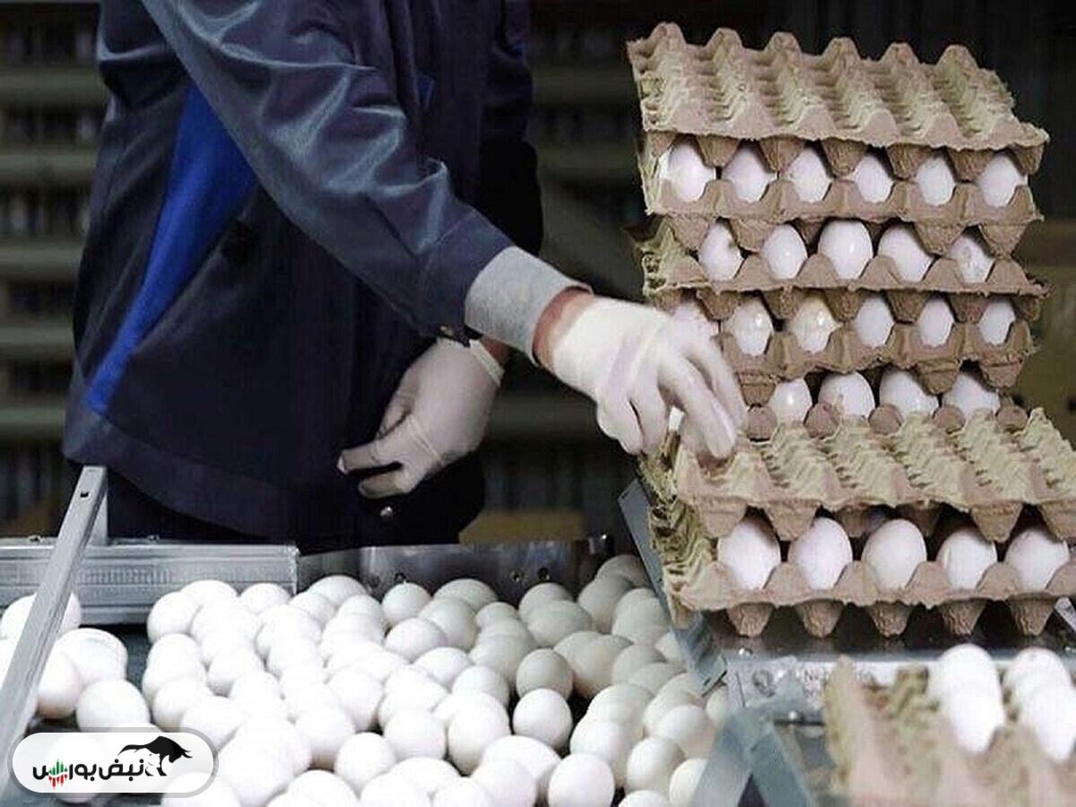 قیمت مصوب تخم‌مرغ باز هم افزایش یافت (۱۲ آبان ۱۴۰۴)