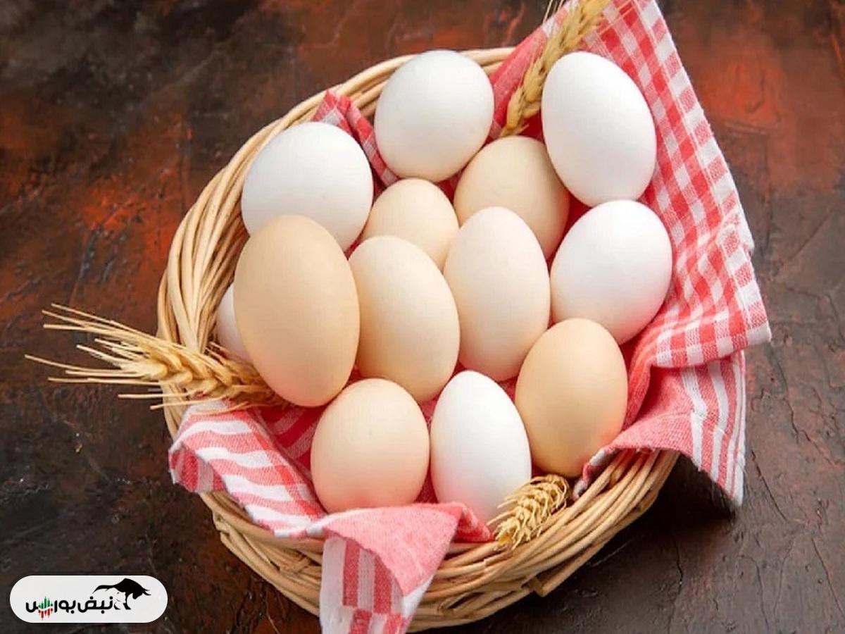 اعلام قیمت هر شانه تخم‌مرغ