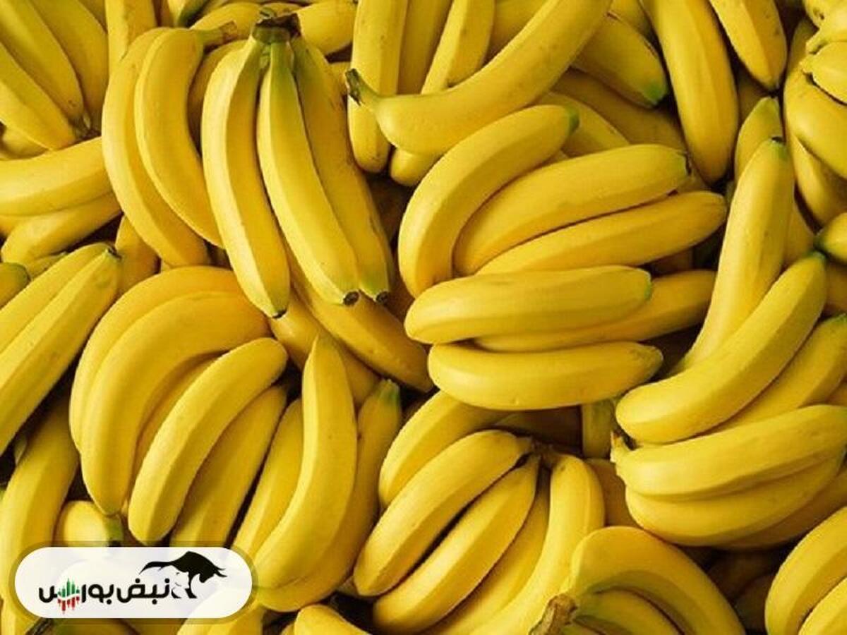 علت گرانی موز فاش شد