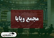 فیلم مجمع وپایا (سرمایه گذاری پایا تدبیر پارسا) مورخ ۱۴۰۴/۰۸/۱۸