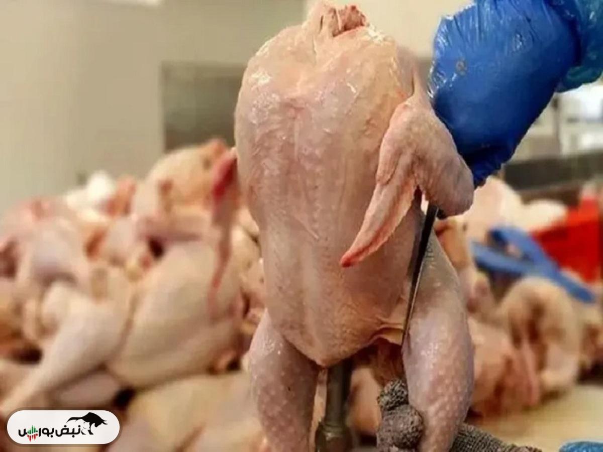 کمبودی در عرضه مرغ گرم نداریم