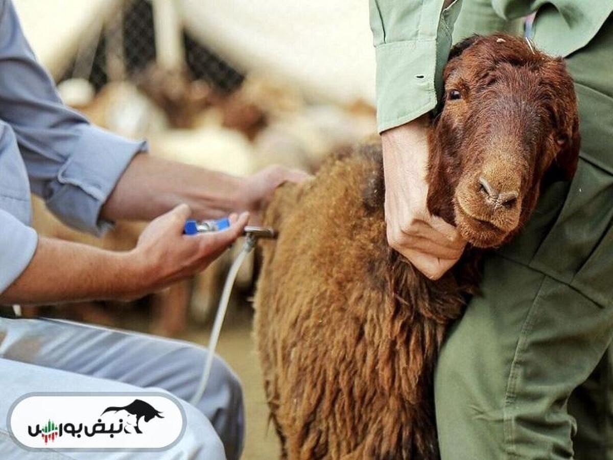 واردات ۲.۵ میلیون دُز واکسن تب برفکی/ تهران در صدر تهدید